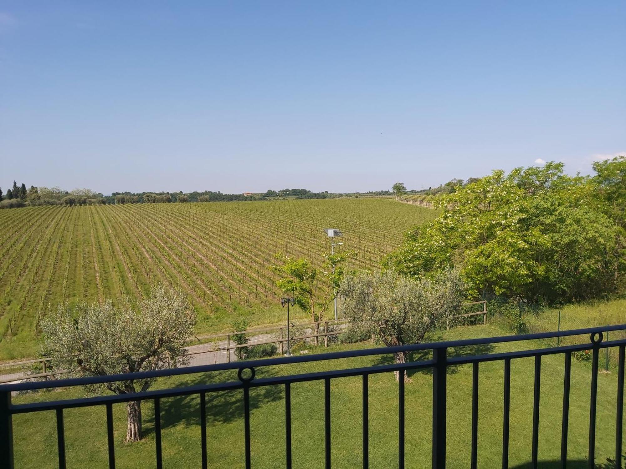 Villa Poggio Бардолино Номер фото